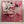 Starcrawler – She Said LP / NOS Vinyl Still Sealed Stock