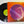 Robin Trower – For Earth Below LP USED Vinyl VG+/VG