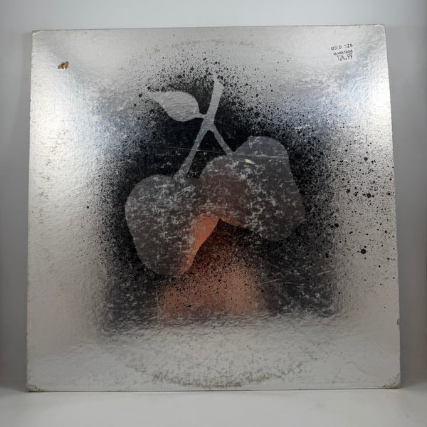 Silver Apples – Silver Apples LP USED Vinyl VG+/VG