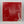Starcrawler – Ants 7