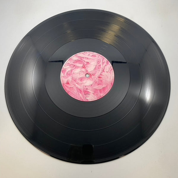 Garbage – Garbage LP USED Vinyl VG+/VG LP USED Vinyl VG+/VG