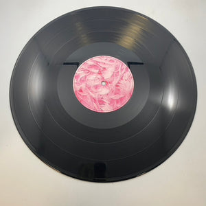Garbage – Garbage LP USED Vinyl VG+/VG LP USED Vinyl VG+/VG