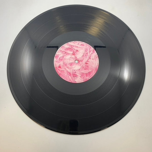Garbage – Garbage LP USED Vinyl VG+/VG LP USED Vinyl VG+/VG