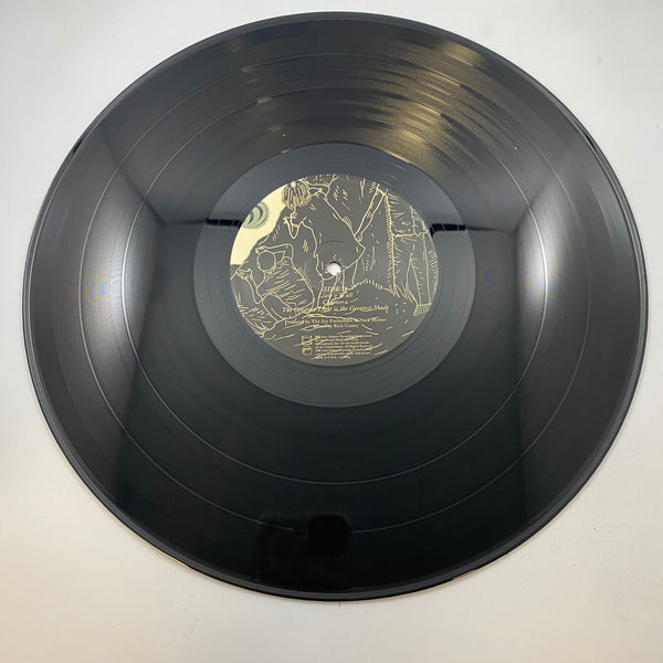The Joy Formidable – The Big Roar LP USED Vinyl VG+/NM Original Pressing