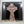 Black Sabbath – Headless Cross LP USED Vinyl VG++/VG++