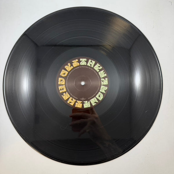 The Books – The Way Out LP USED Vinyl VG+/VG+