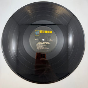 Terry Manning – Home Sweet Home LP USED Vinyl VG++/VG+