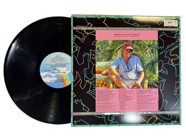 Jimmy Buffett – Off To See The Lizard LP USED Vinyl NM/VG++