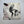 Nirvana – Sliver 7