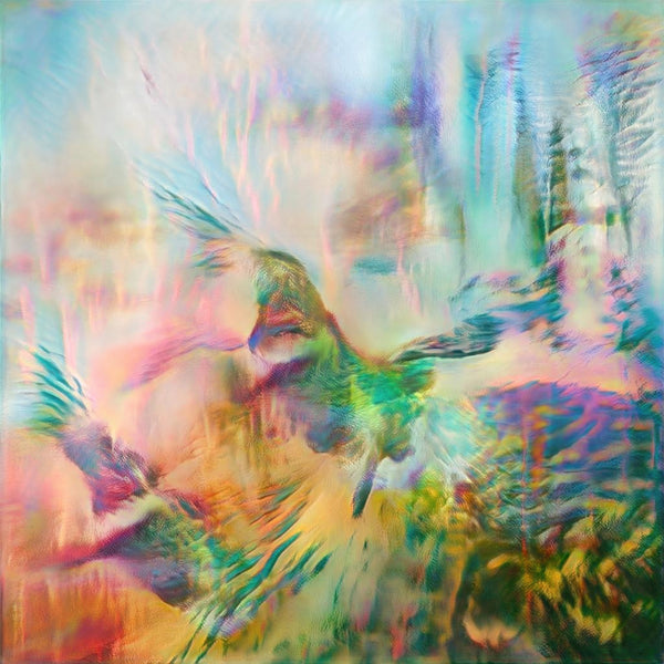 Seahawks - Time Enough For Love LP NEW