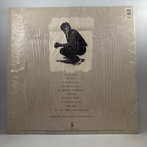 Tracy Chapman – Crossroads LP USED Vinyl NM/NM