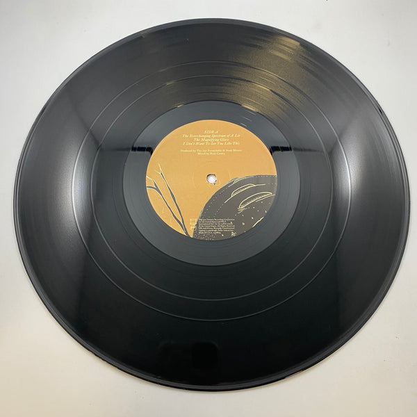 The Joy Formidable – The Big Roar LP USED Vinyl VG+/NM Original Pressing
