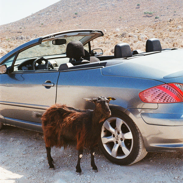 EXEK - Prove The Mountains Move LP NEW