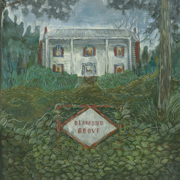 Weirs - Diamond Grove LP NEW