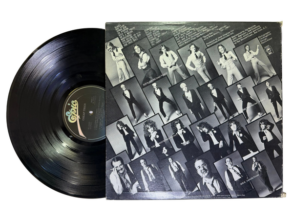 Cheap Trick – Cheap Trick LP USED Vinyl VG+/VG