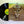 Pink Floyd – Ummagumma LP USED Vinyl VG+/VG+
