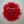 Starcrawler – Ants 7