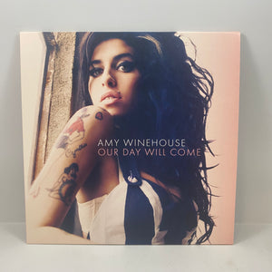 Amy Whinehouse – 12X7 7" USED Vinyl Box Set NM/NM