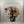 Sleater-Kinney – No Cities To Love LP USED Vinyl VG+/NM