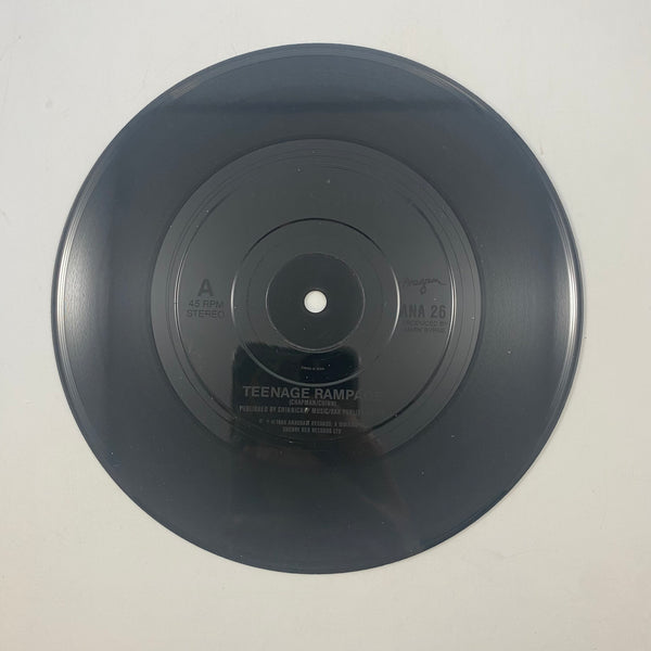 Vice Squad – Teenage Rampage 7" USED Vinyl VG++/VG+