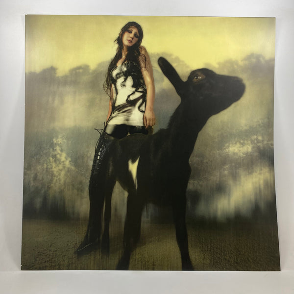 Circuit Des Yeux – Halo On The Inside LP USED Vinyl NM/NM Color Vinyl