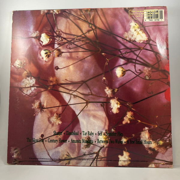 Shelleyan Orphan – Century Flower LP USED Vinyl VG+/VG+