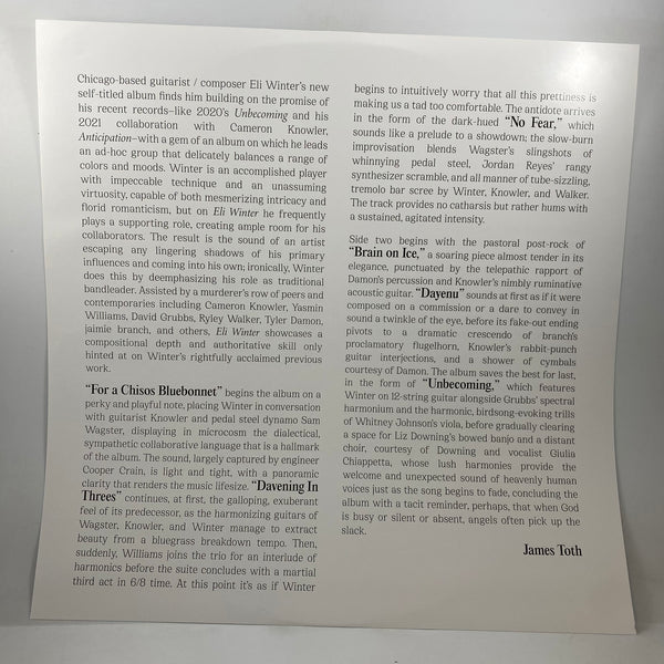 Eli Winter – Eli Winter LP USED Vinyl NM/VG+ Color Vinyl