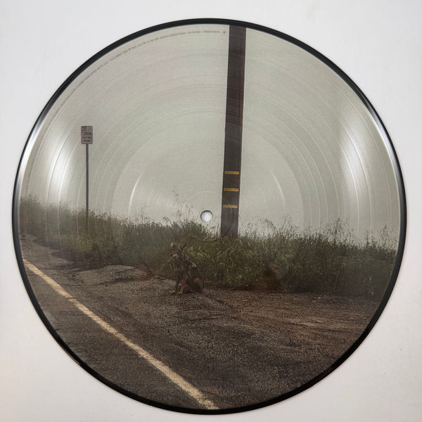 Dominic Fike – 14 Minutes 10" USED Vinyl VG+/VG+ Picture Disc