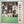 Little Feat - Down On The Farm Japanese Pressing LP USED Vinyl VG++/VG+