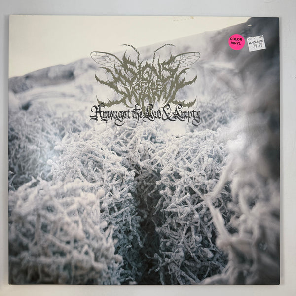 Signs Of The Swarm – Amongst The Low & Empty LP USED Vinyl VG++/VG+ Color Vinyl