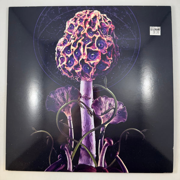 Blut Aus Nord – Hallucinogen LP USED Vinyl  VG++/VG++ Color Vinyl