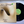 Robin Trower – Bridge Of Sighs Japanese Pressing LP USED Vinyl VG++/VG