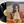 Rod Stewart – Gasoline Alley LP USED VG+/VG+