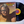 Joe Walsh – So What LP USED VG+/VG