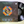 Electric Light Orchestra – A New World Record LP USED VG++/VG