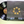 Electric Light Orchestra – A New World Record LP USED VG++/VG