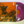 High On Fire – Cometh The Storm LP USED VG+/VG++ COLOR VINYL