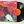 Meat Loaf – Bat Out Of Hell LP Album VG+/VG