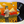 Tyler, The Creator – Scum Fuck Flower Boy LP USED VG++/VG++