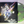 Lupe Fiasco – Lupe Fiasco's Food & Liquor Series LP USED VG++/VG++