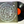 Bachman-Turner Overdrive – Bachman-Turner Overdrive LP USED VG+/VG+