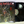 Iron Maiden – Senjutsu LP USED VG++/VG++