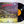 Ry Cooder – Into The Purple Valley LP USED VG++/VG++