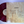Panic! At The Disco – A Fever You Can't Sweat Out 20th Anniversary Box Set USED VINYL NM/NM