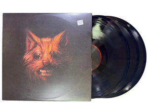 Swans – The Seer LP USED VG++/VG++