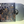 Iced Earth – Plagues Of Babylon LP USED NM/NM