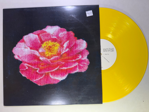 Post Malone – Tribute To Nirvana LP USED NM/VG++