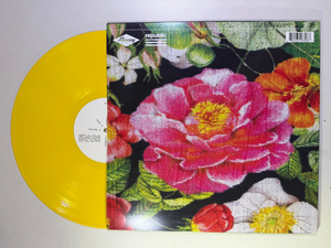 Post Malone – Tribute To Nirvana LP USED NM/VG++
