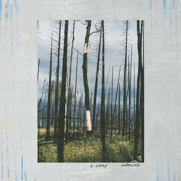 S. Carey - Watercress LP NEW