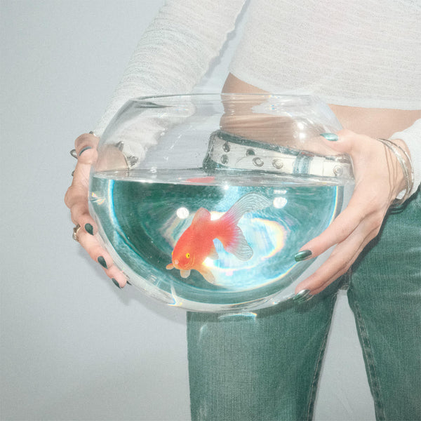 fish narc - frog song LP NEW